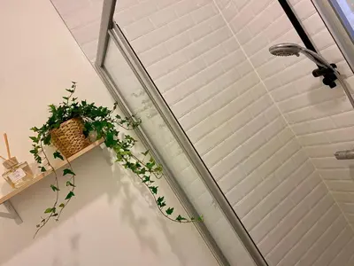a plant sitting on the side of a shower stall at Bel appartement proche de tout in Brussels