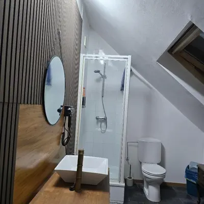 a bathroom with a shower and a sink and a toilet at Balacobaco in Brussels