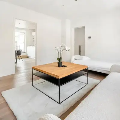 Luxury apartment x big terrace