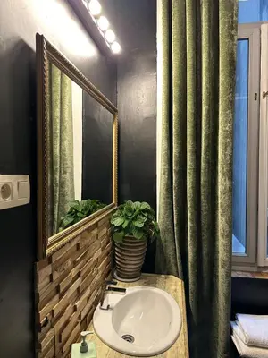 a bathroom with a sink and a mirror and a potted plant at Happy Home in Brussels