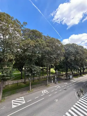 an empty street with trees on the side of the road at Appartement Leyla in Brussels