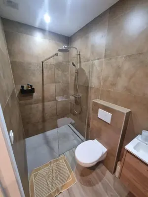 a bathroom with a shower and a toilet and a sink at Plantin 4 in Brussels