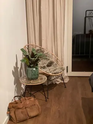 a table with a potted plant on it with a purse at The Green Gatsby in Antwerp
