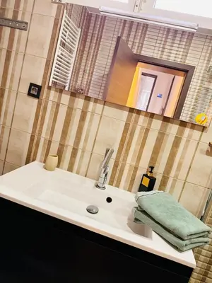 a bathroom sink with a green towel and a mirror at l'imperial WIFI & Confort in Brussels