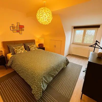 a bedroom with a large bed and a window at Brussels Quiet Oasis in Brussels