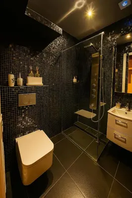 a bathroom with a toilet and a shower and a sink at Brussels Quiet Oasis in Brussels