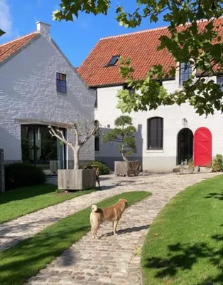 a dog standing on a path in front of a house at English Bob in Bierbeek
