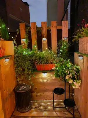 a garden with plants and lights on a fence at Madame Chapeau II in Brussels