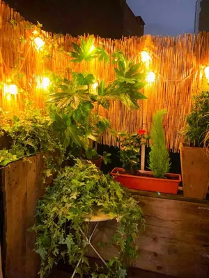 a garden with potted plants and lights at Madame Chapeau II in Brussels