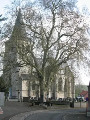 a tree in front of a building with a church at Huis van Rooi in Sint-Agatha-Rode