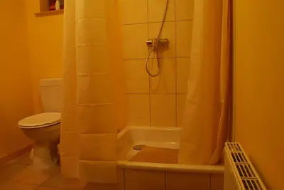 a bathroom with a toilet and a shower with a shower curtain at Huis van Rooi in Sint-Agatha-Rode