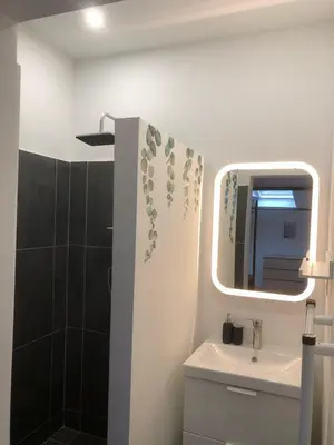 a bathroom with a sink and a mirror at Absolute Charm 3 Bedroom 3 Bathroom with AC EU District in Brussels