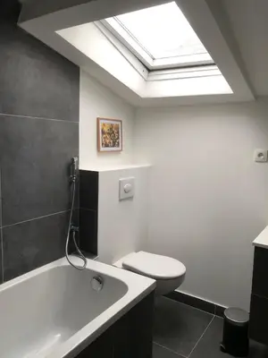a bathroom with a toilet and a bath tub with a skylight at Absolute Charm 3 Bedroom 3 Bathroom with AC EU District in Brussels