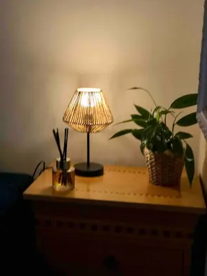 a table with a lamp and a potted plant on it at Cosy 1 bedroom apartment in EU DISTRICT in Brussels