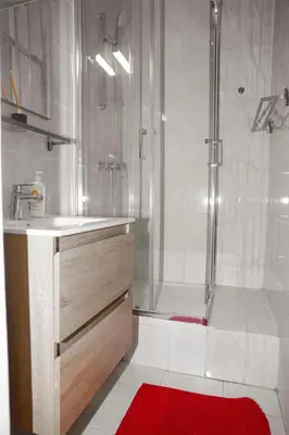 a bathroom with a shower and a red rug at Appartement, deux chambres au pied du métro Montgomery in Brussels