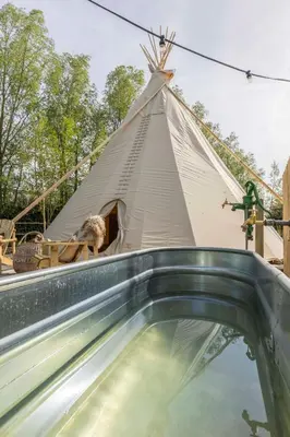 a dog in a teepee tent with a swimming pool at Tipi Bo exclusief in Kaprijke