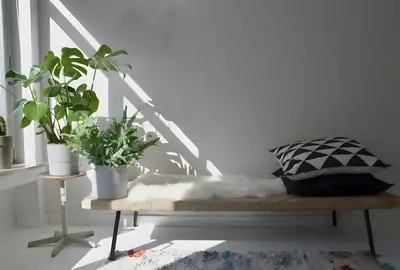 a bench with plants on it in a room at Peaceful retreat in Brussels