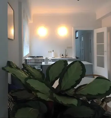 a plant in the middle of a room with a kitchen at Peaceful retreat in Brussels