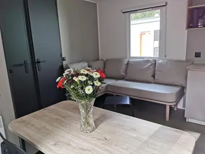 a vase of flowers on a table in a living room at Verblijfpark De Brem in Lille