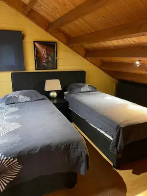 a bedroom with two beds and a tv in a room at De Reinakker Bungalow in Sint-Gillis-Waas