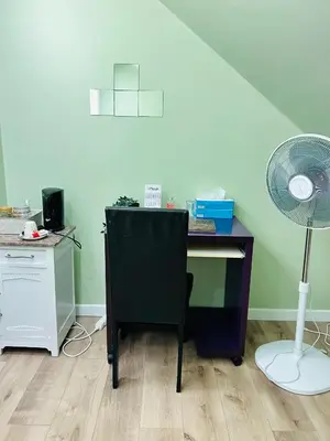 an office with a desk and a fan at The Nest In Leuven -Cosy room near Brussels in Leuven