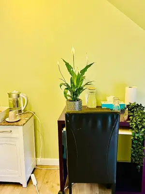 a desk with a potted plant on top of it at The Nest In Leuven -Cosy room near Brussels in Leuven