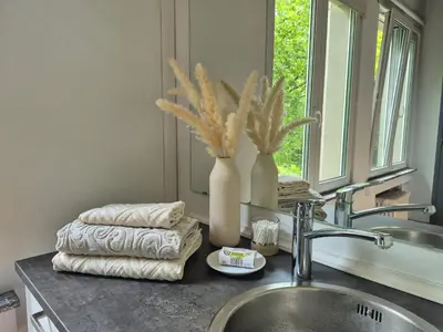 a bathroom counter with a sink and a mirror at Résidence Souverain 94 in Brussels