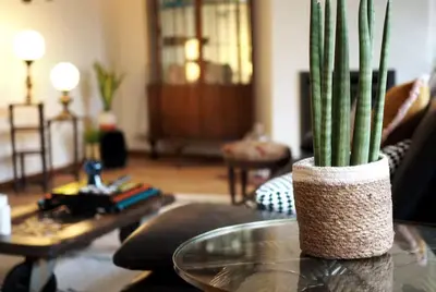 a living room with a vase with a plant on a table at Stylish & Spacious Flat viewing the Lovely MAS in Antwerp