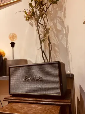 a television sitting on a table with a vase of flowers at Charming & Spacious Duplex viewing the lovely MAS in Antwerp