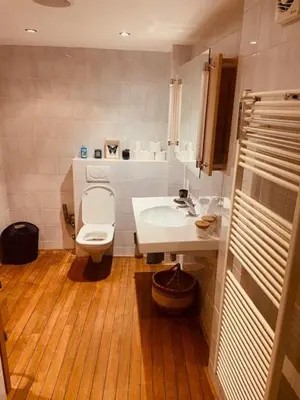 a bathroom with a white toilet and a sink at Charming & Spacious Duplex viewing the lovely MAS in Antwerp