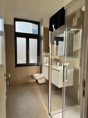 a bathroom with a sink and a toilet and a window at Bora Apartment in Brussels