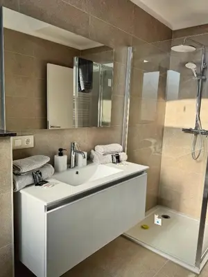 a bathroom with a white sink and a shower at Loft Luna Brussels Midi in Brussels