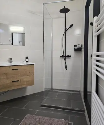 a bathroom with a shower and a sink at Proche du centre de Bruxelles, Atomium,Tour&Taxi,ING Arena in Brussels