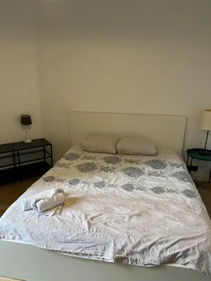a bed with a white comforter and two pillows at Flat south Brussels in Brussels