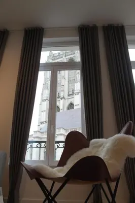 a cat sitting in a chair in front of a window at The Antwerp Cathedral suite first floor in Antwerp