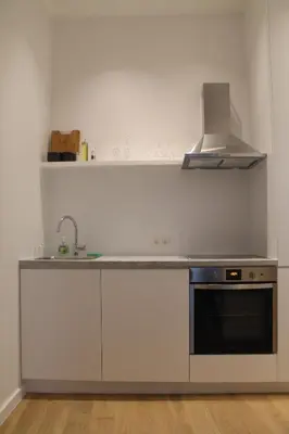 a kitchen with a sink and a stove at The Antwerp Cathedral suite first floor in Antwerp