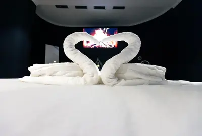 two swans making a heart on top of a bed at Blvck Spa in Brussels