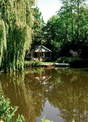 a house in the middle of a lake at Huisje aan de Vijver in Hamme