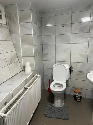 a bathroom with a white toilet and a sink at Brussels center city appartement in Brussels