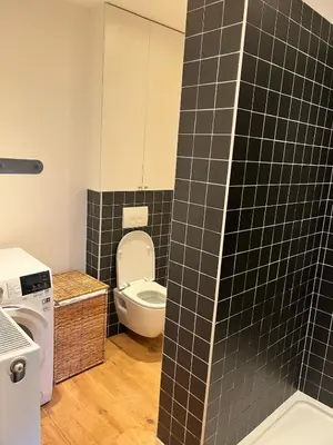a bathroom with a toilet and a washing machine at Completely renovated apartment in Antwerp