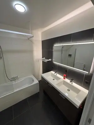a bathroom with a sink and a tub and a mirror at Stylish, modern & spacious apartment in Brussels in Brussels