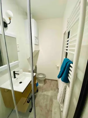 a bathroom with a toilet and a sink and a mirror at Studio calme et lumineux à Uccle in Brussels