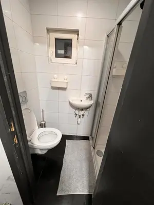 a small bathroom with a toilet and a sink at Doppelzimmer im Herzen Brüssels in Brussels