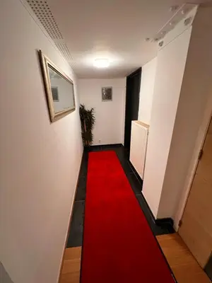 a hallway with a red carpet in a room at Doppelzimmer im Herzen Brüssels in Brussels