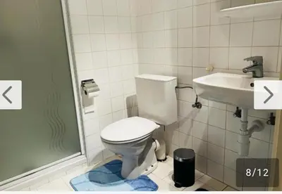 a bathroom with a toilet and a sink at Botanical Garden Rogier Brussels in Brussels