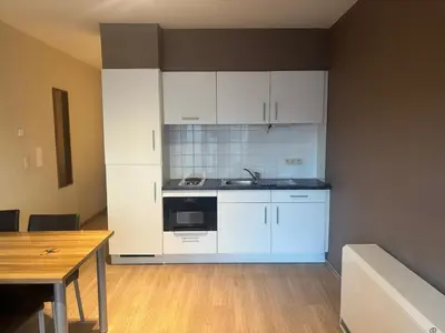 a kitchen with white cabinets and a sink and a table at Botanical Garden Rogier Brussels in Brussels