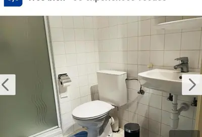 a bathroom with a toilet and a sink at Botanical Garden Rogier Brussels in Brussels