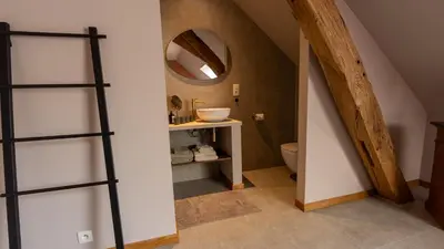 a bathroom with a toilet and a mirror at Gezellig vakantiehuis voor 12 personen in Boutersem