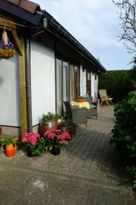 a patio with flowers and plants in front of a house at De Zon B&B in Heist-op-den-Berg