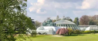 a large glass greenhouse in a field with trees at Arm Apart in Brussels
